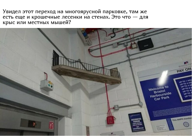 Люди спрашивают: "Что это такое?"